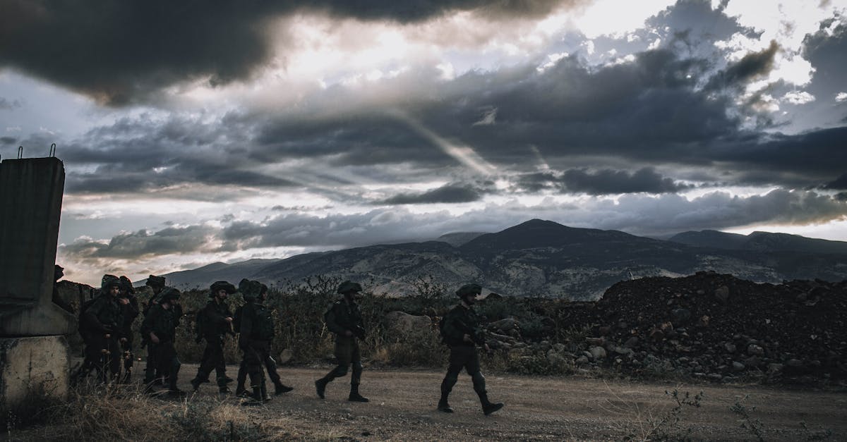 猫和老鼠:开福区代理公司注册