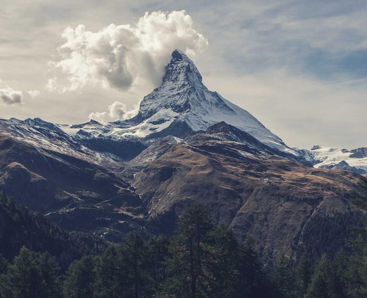 咖啡黄沉香(细):西固区外资公司注册代理