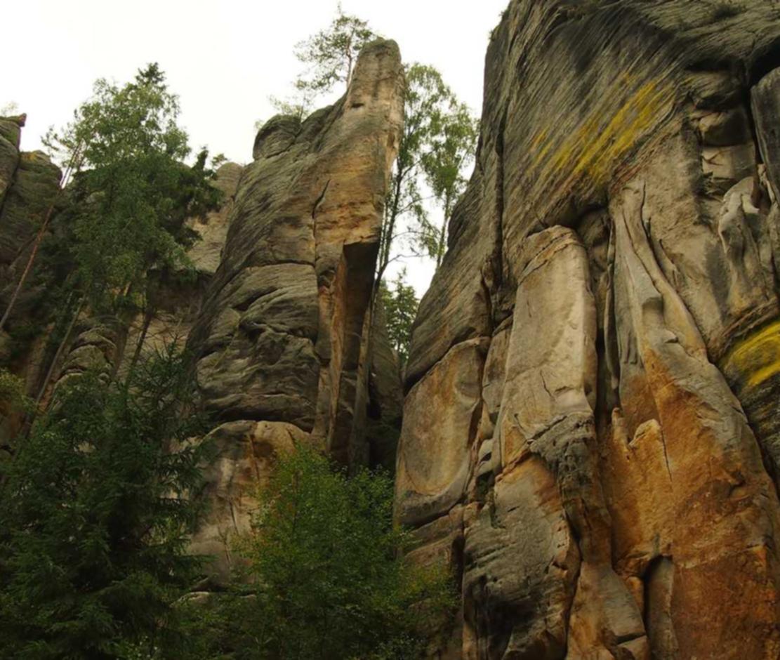 香烟和玩具的关系