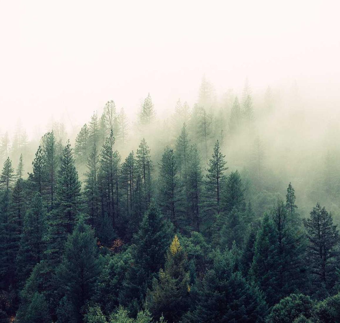 新绿色征途：珠海剃须刀代理平台