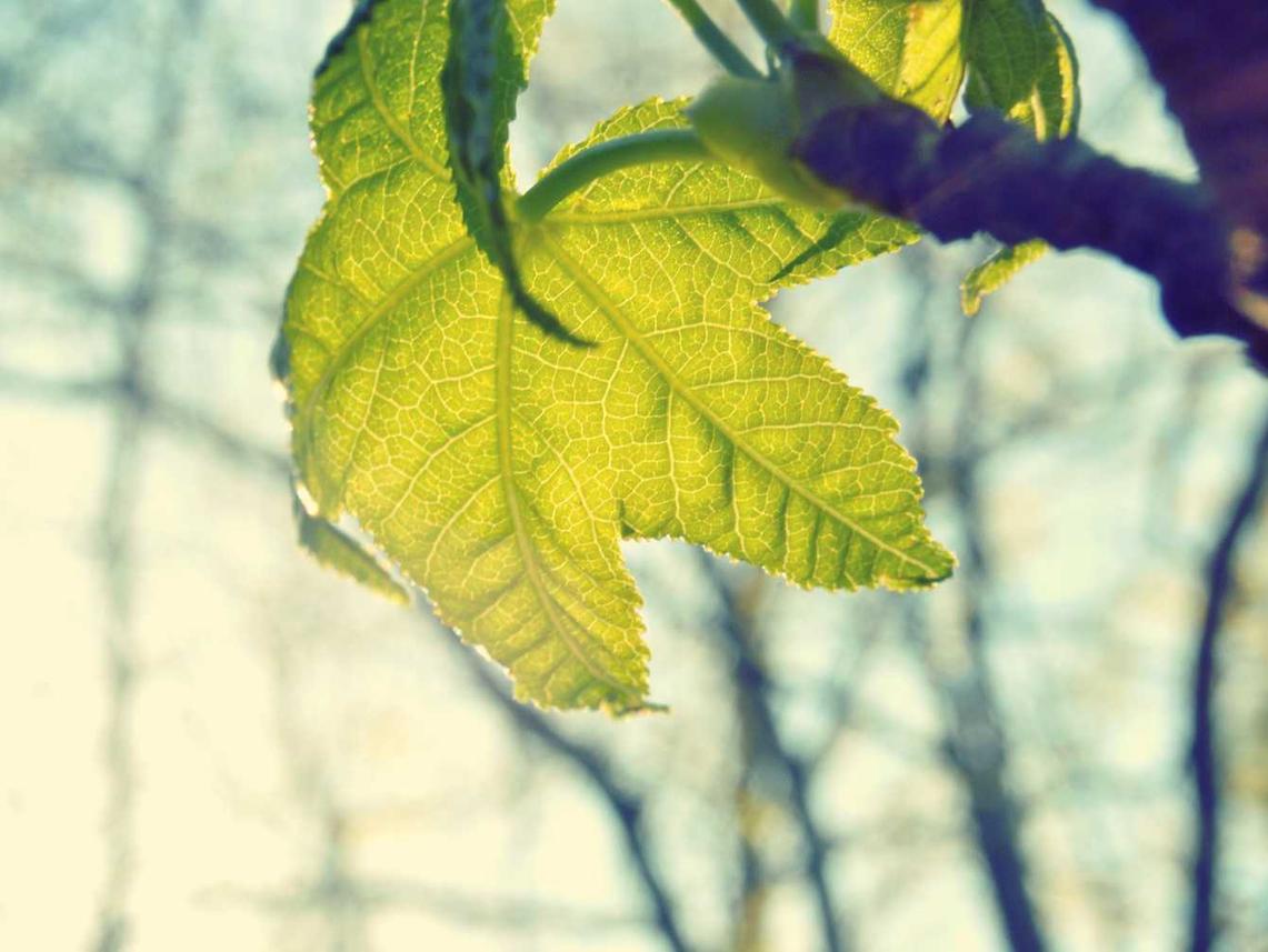 DDOS在线攻击平台|如何成为合法的白帽黑客