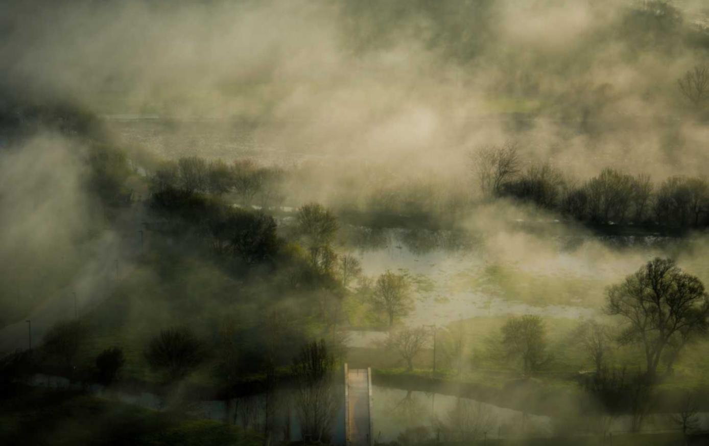 全球住宅ip实名账号:铜陵茶叶购买平台