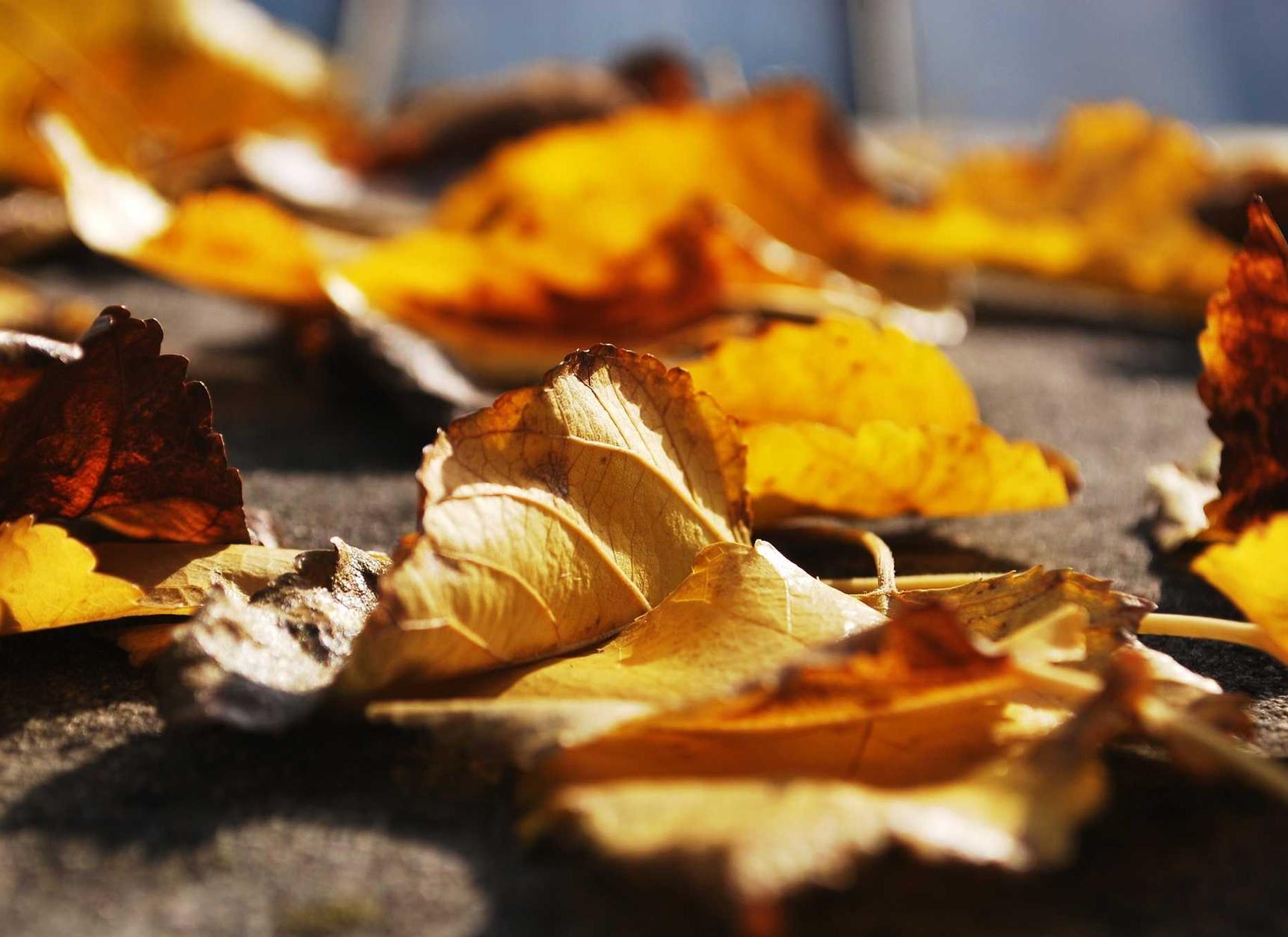 网站安全渗透:流量卡的种类有哪些?哪种适合你?