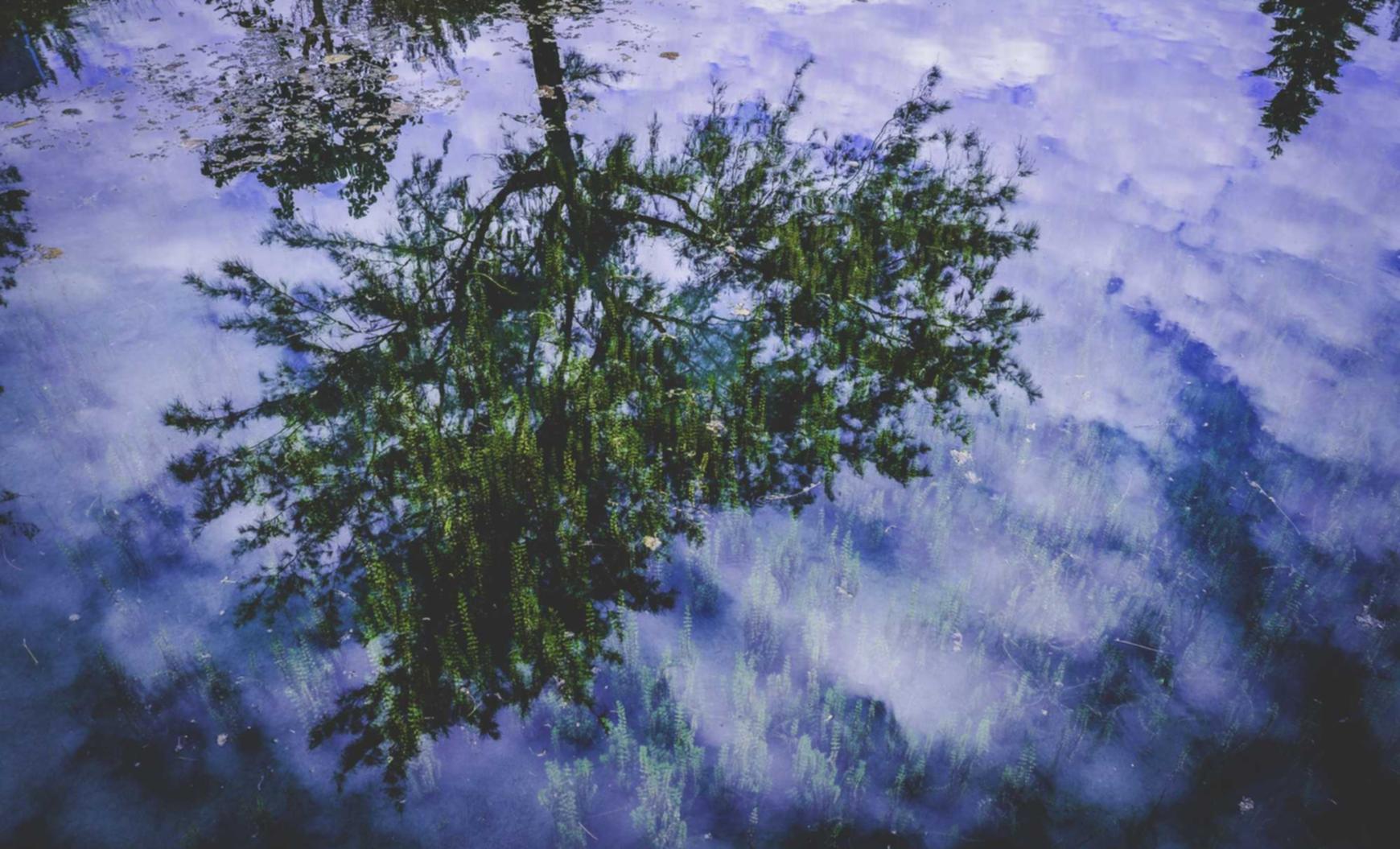 全新微信批发：我需要游戏平台代理