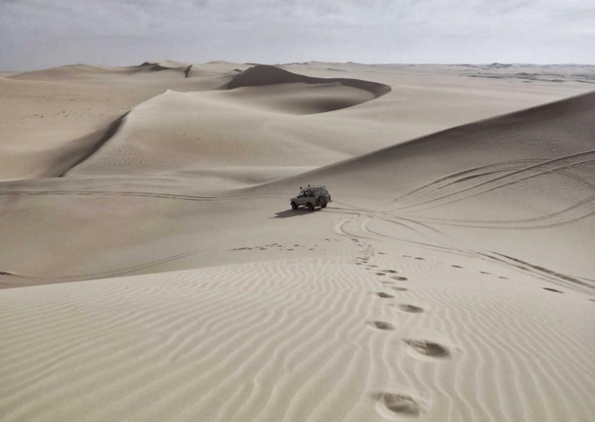 出各种微信号：吉林书画交易平台代理