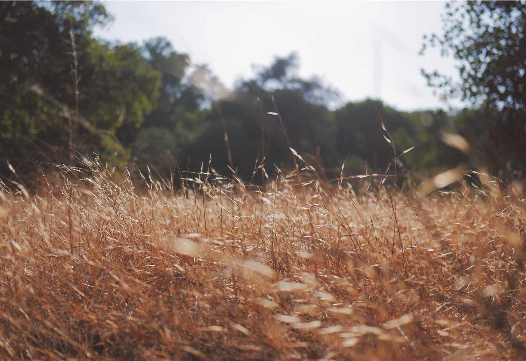 防攻击的下一步网络安全前沿技术