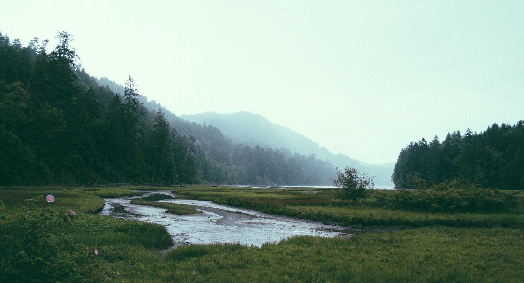 分享通信实名账号：大连撸鱼平台代理