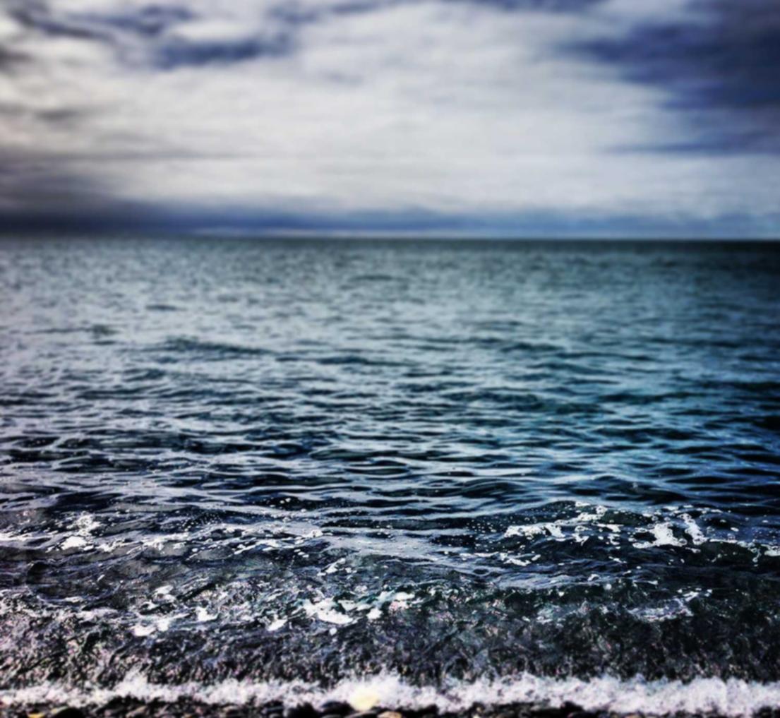 Peel百乐莫吉托爆珠：才宝学生版app详情下载教程