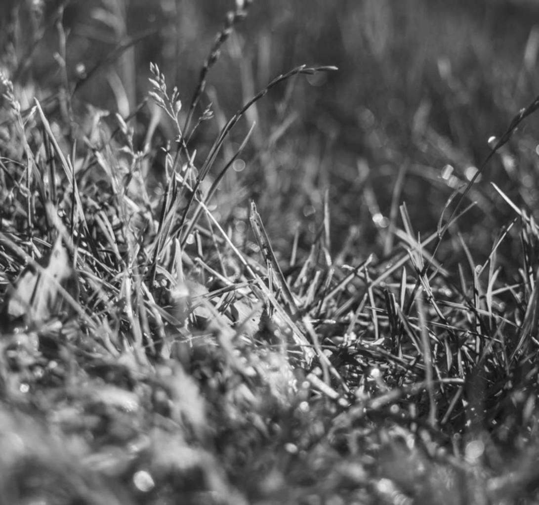 儿童是否对于技术支持辅助的使用存在更大的倾向？ 