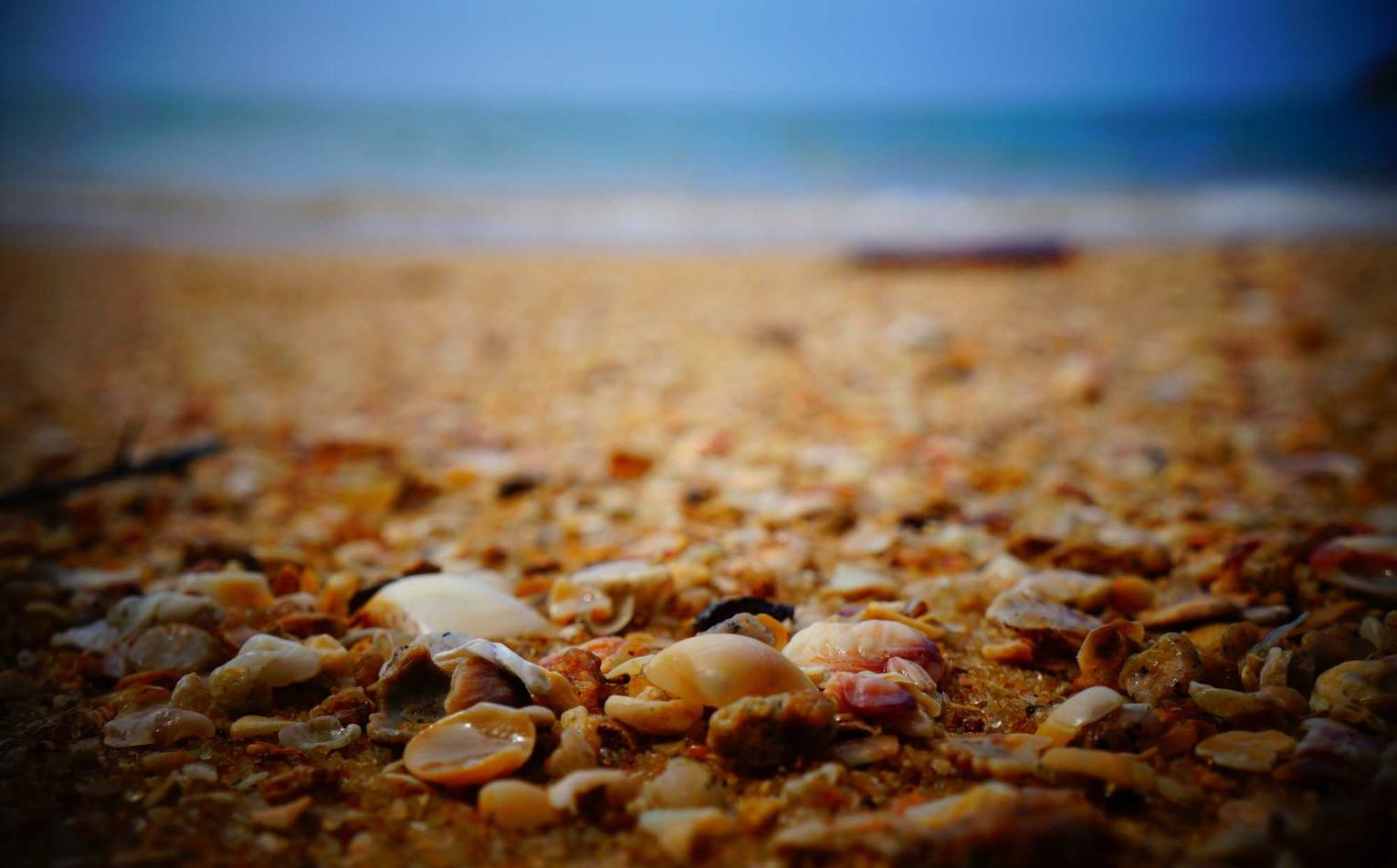 灵魂实名账号：短信营销的常用误解和解决方法