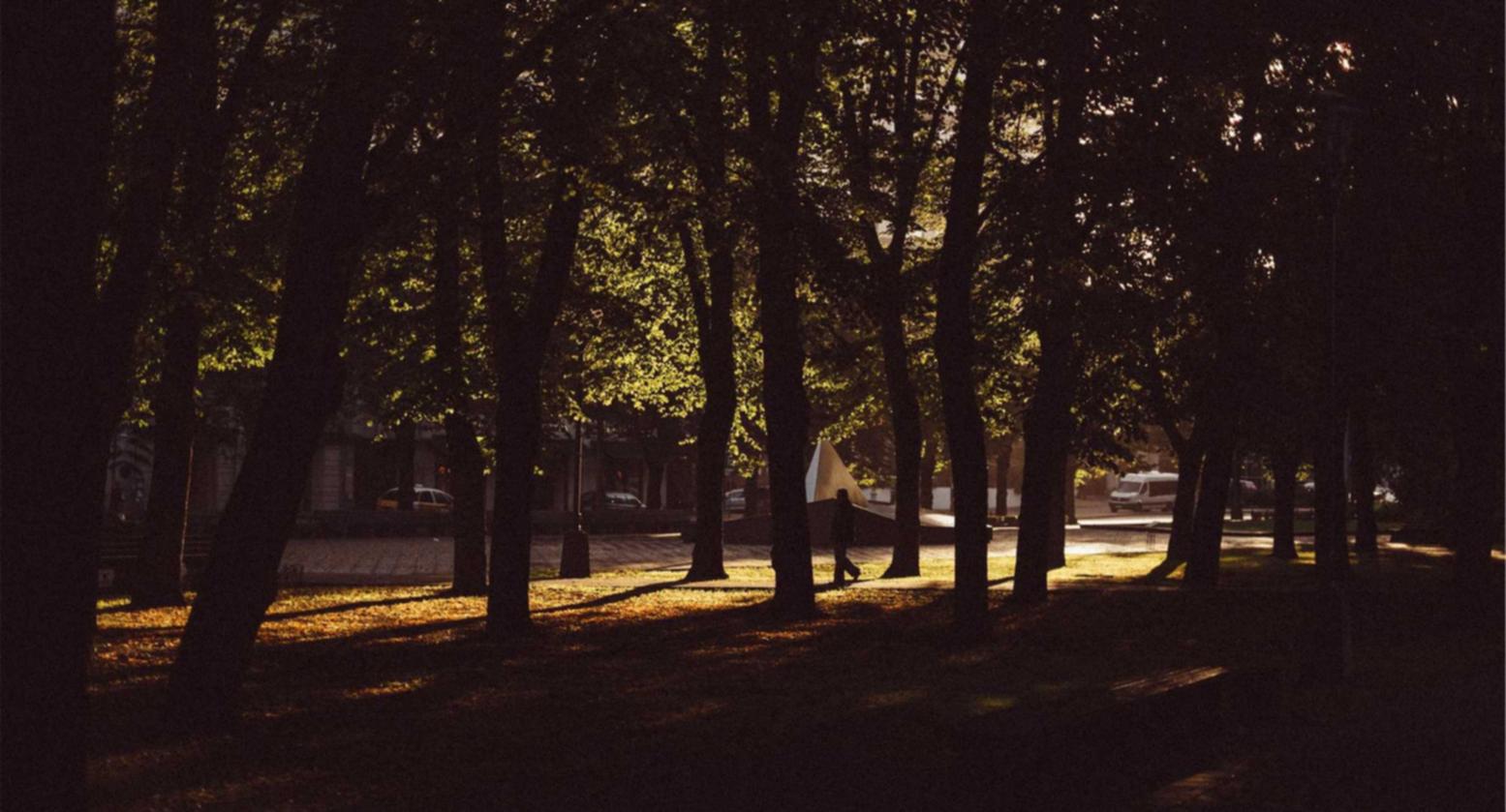 罐装珠港澳大桥:怎样注册优酷账号