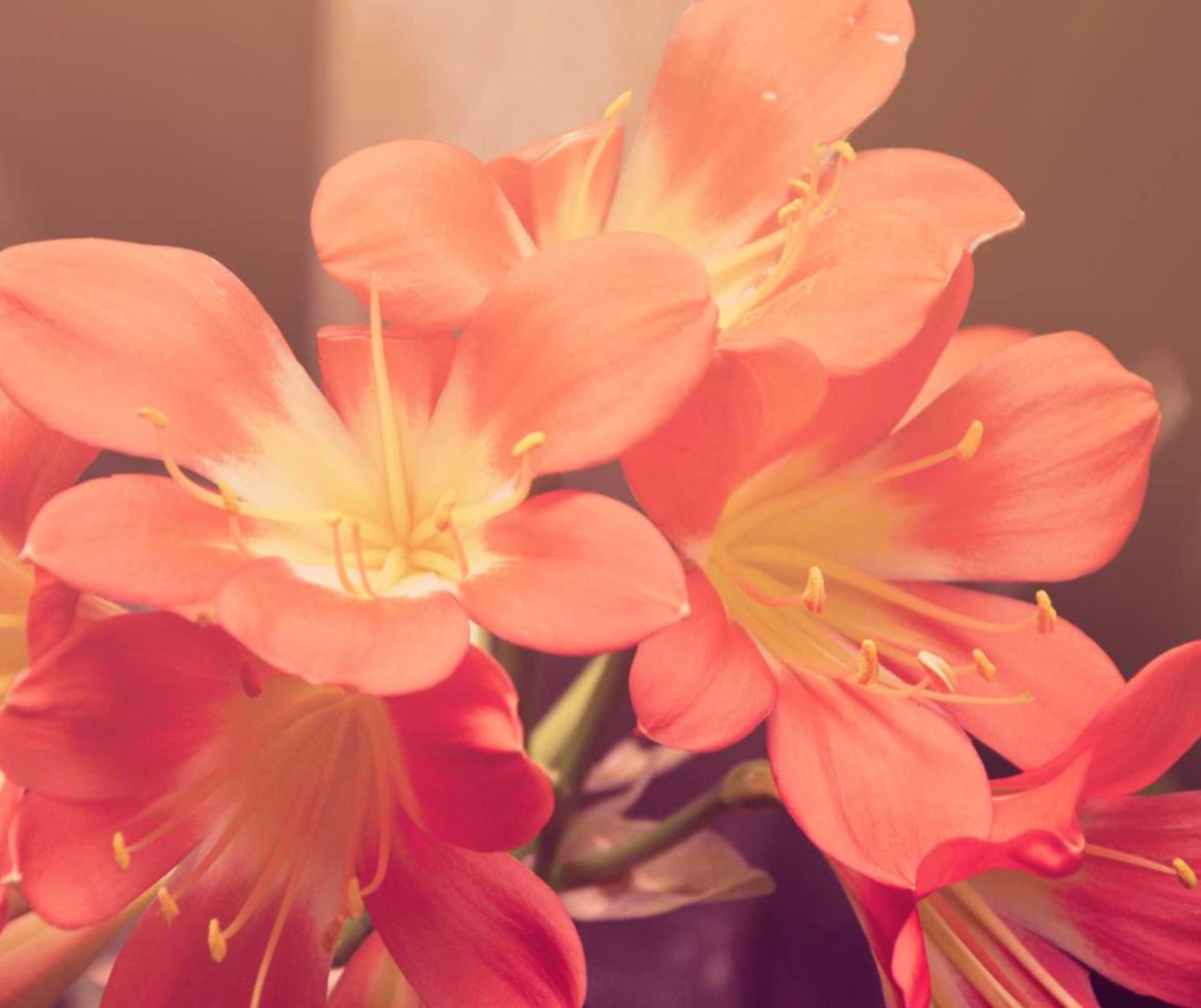 绍兴工商注册代理金额多少