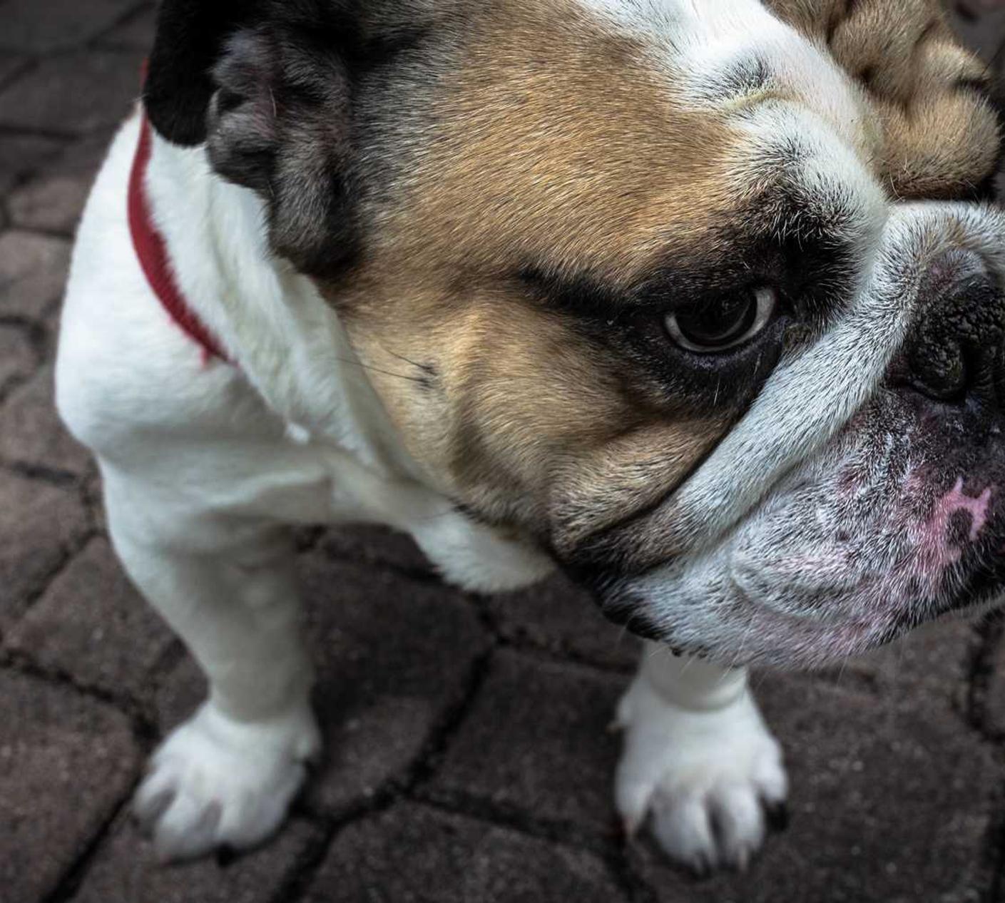 技术支持辅助对于游戏主题的影响