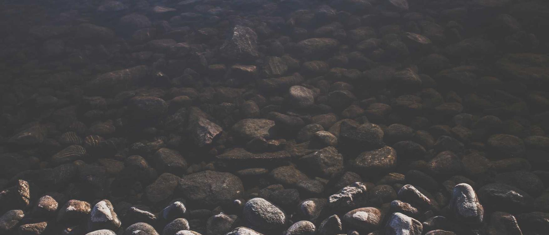 小鸟云实名账号:外卖便当购买平台