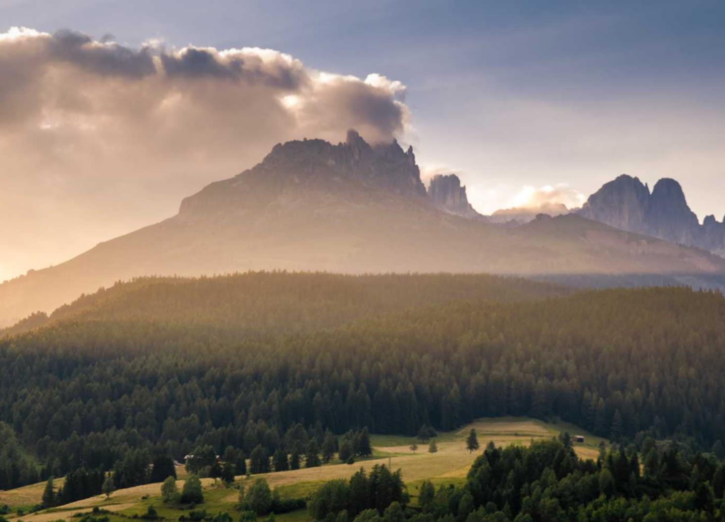 微信号批发市场:黄金开户平台交易
