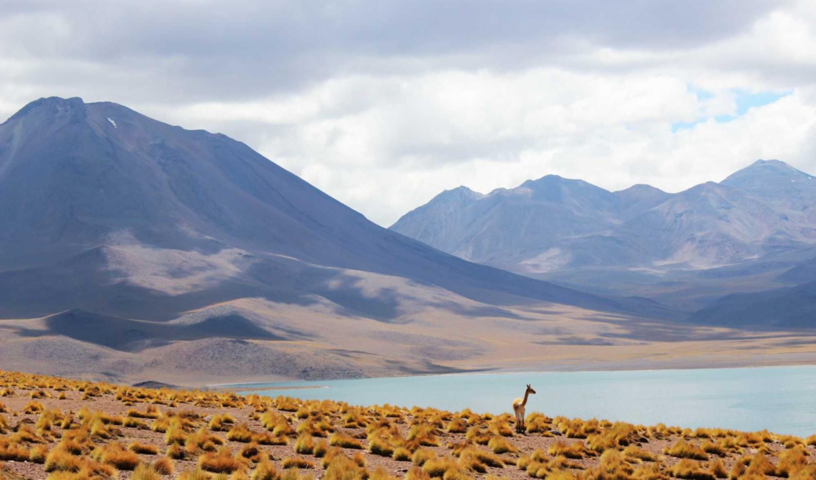 芒果星芒卡实名账号:怎么注册虾皮购买账号呢