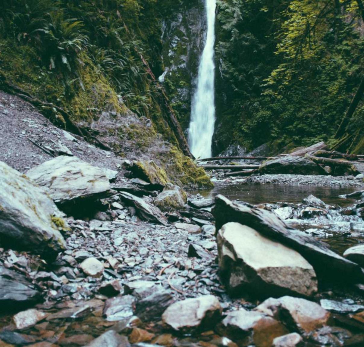Mond梦都柠檬:十三张代理平台