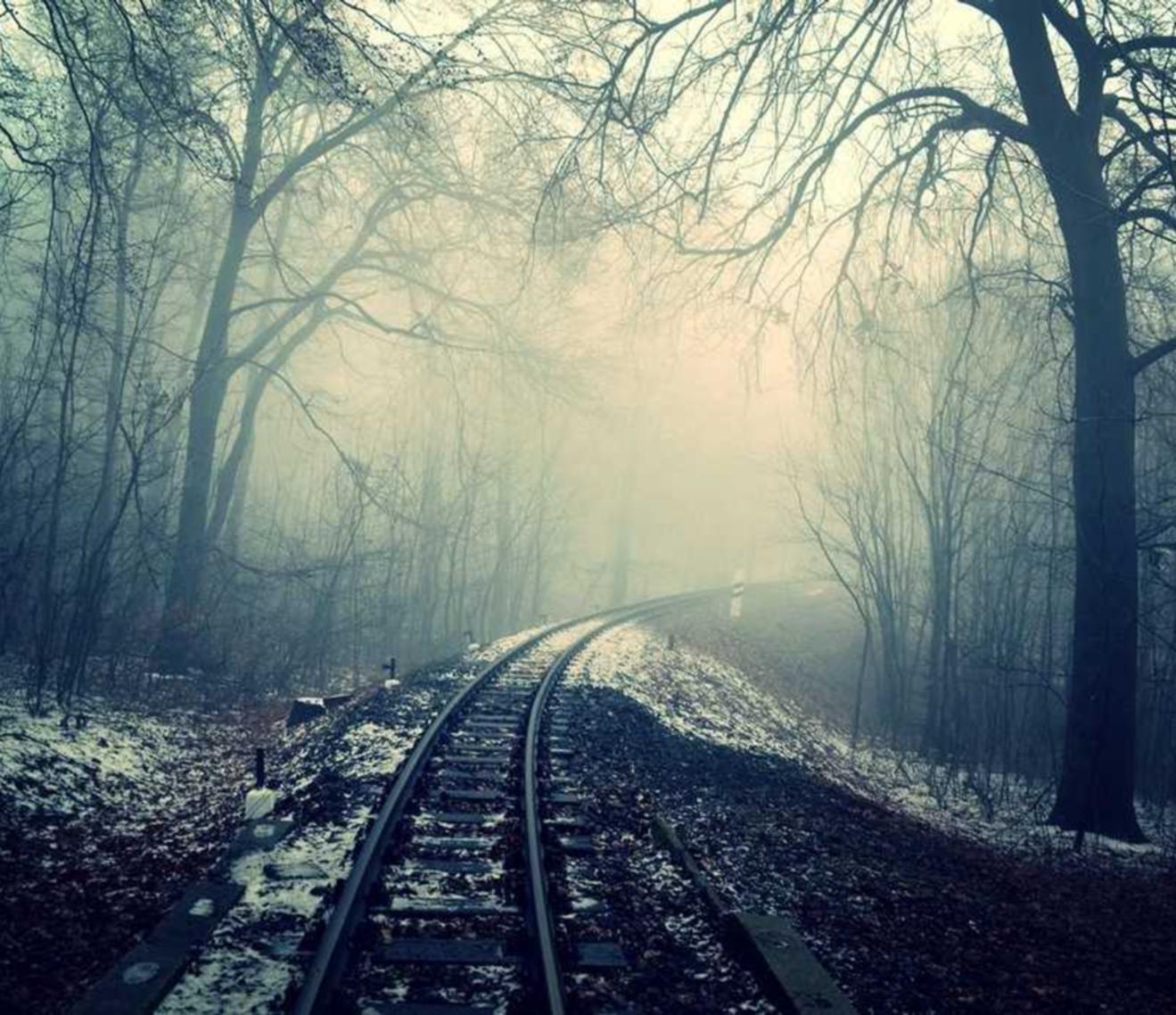 免费的音乐详情下载教程app