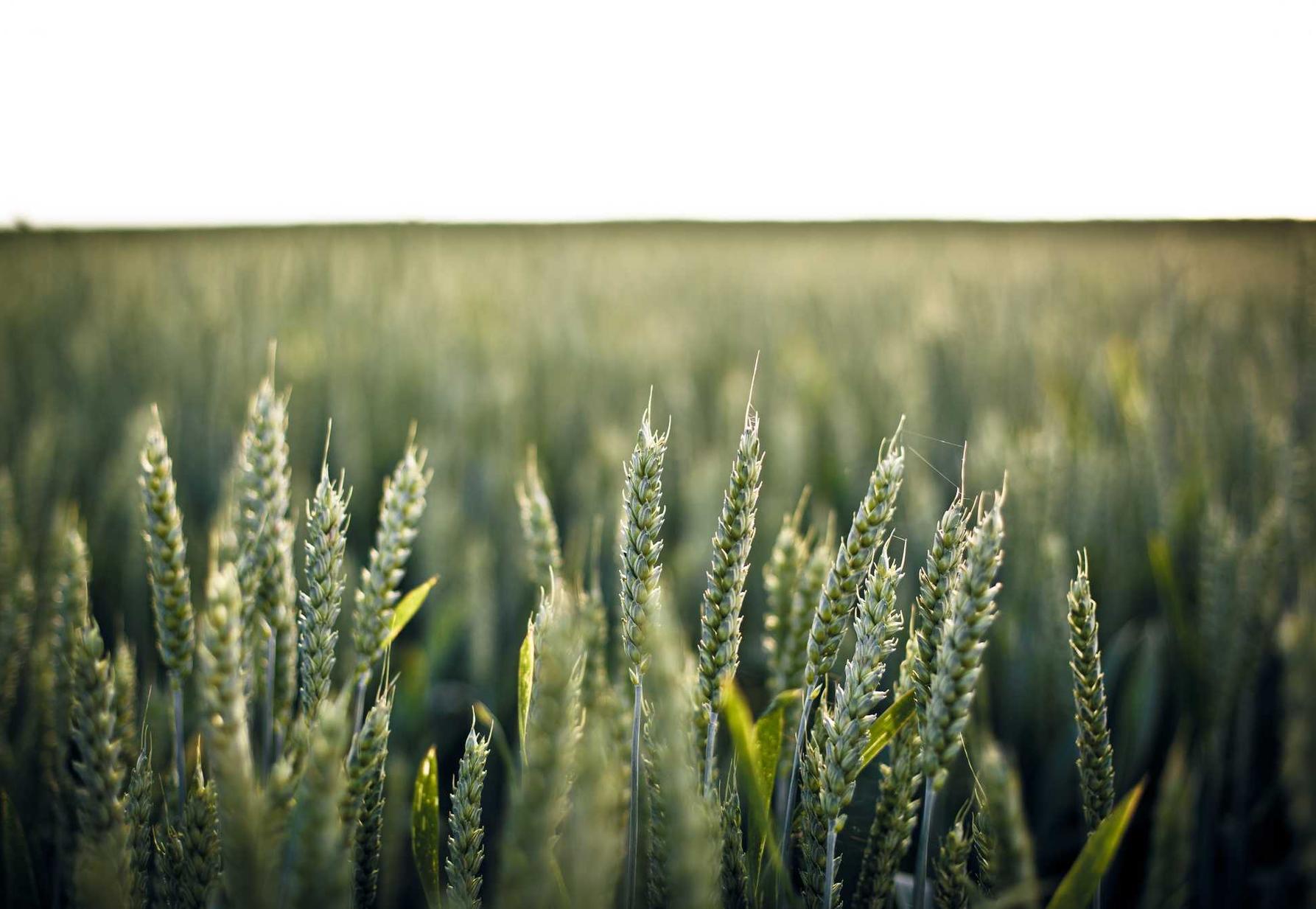 福州门窗购买平台