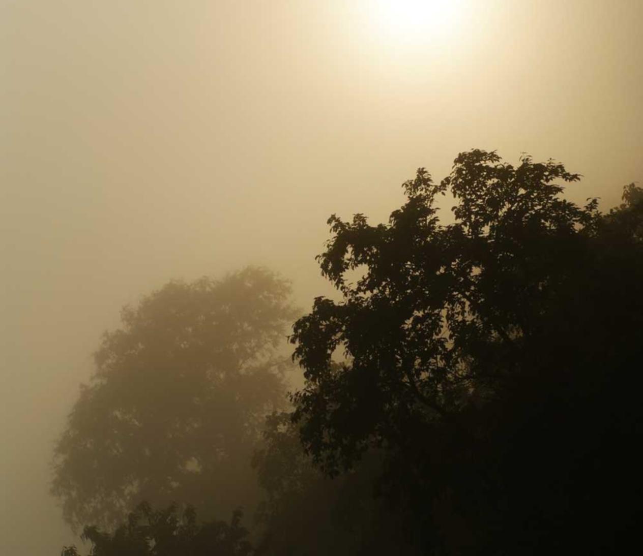 雷竞技详情下载教程App