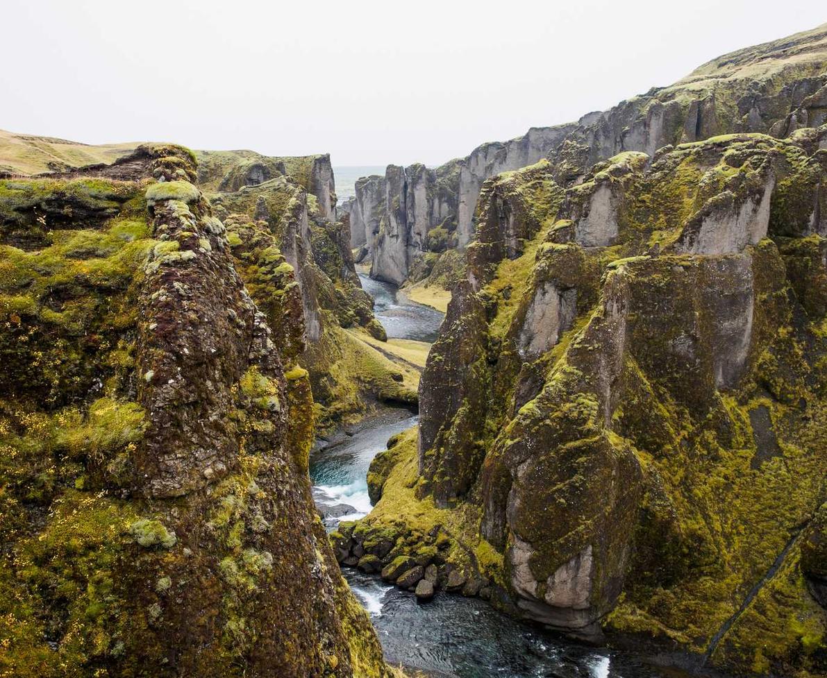 卧龙娱乐,注册|袋鼠成长营怎样注册账号