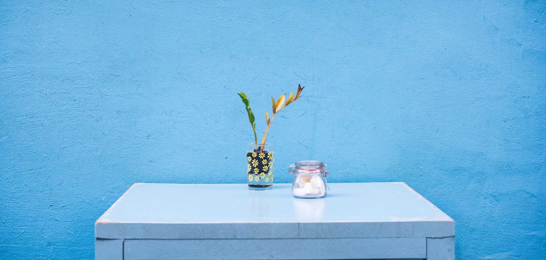 如何使用CSS和HTML编写助手提高SEO