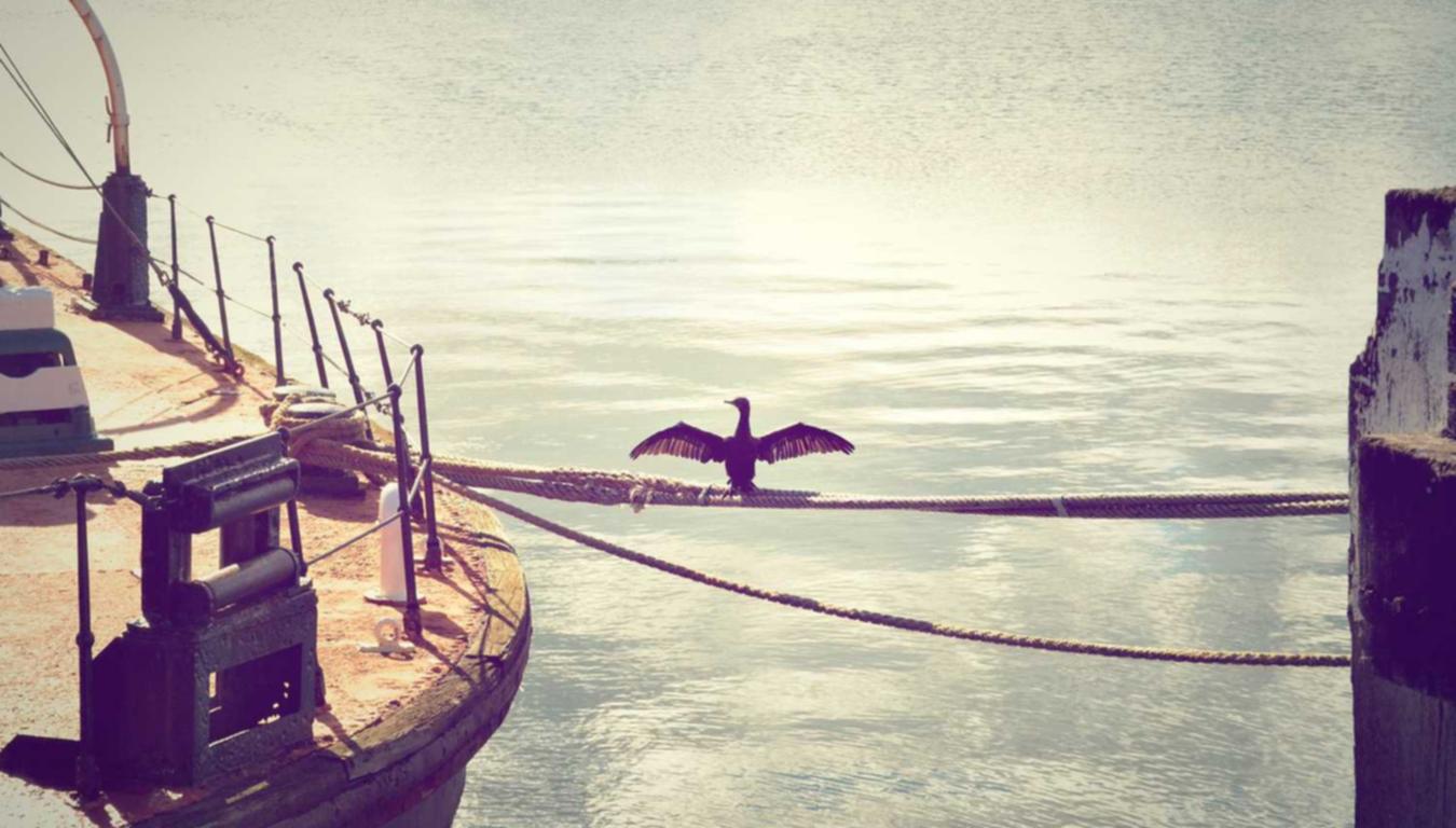 吸烟如何影响个人形象