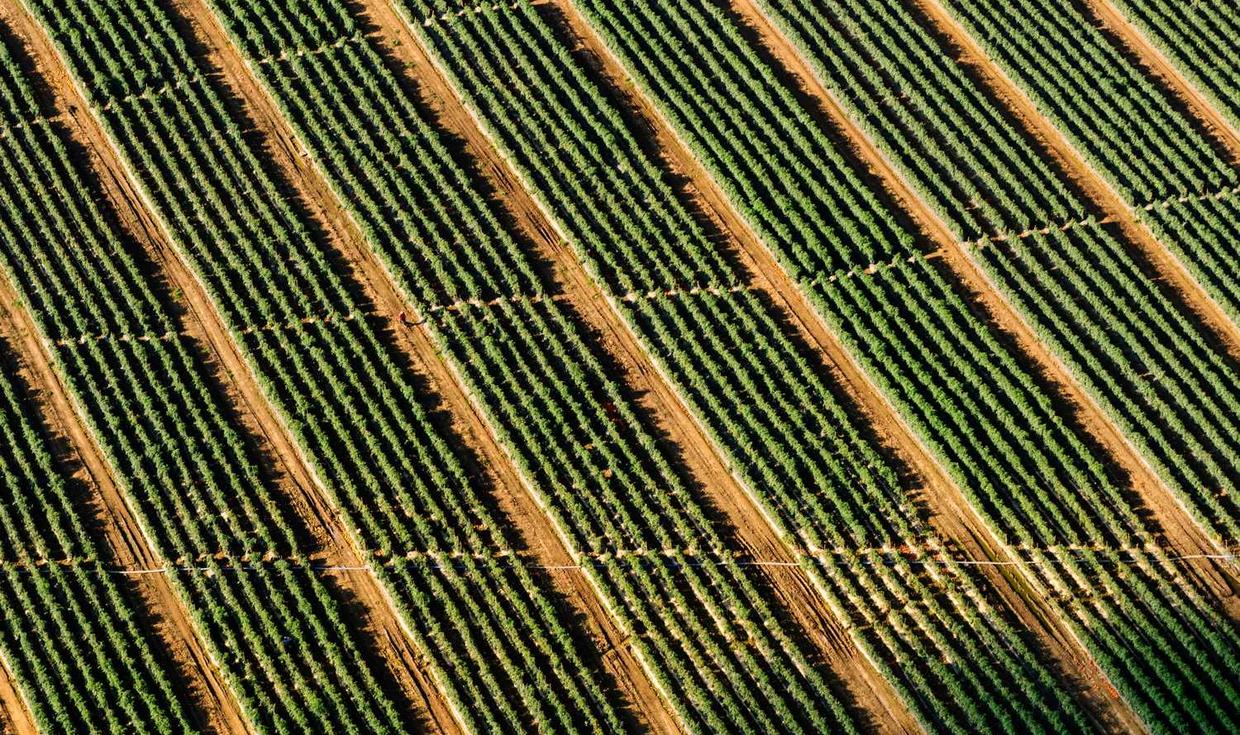 池州青阳注册公司代理