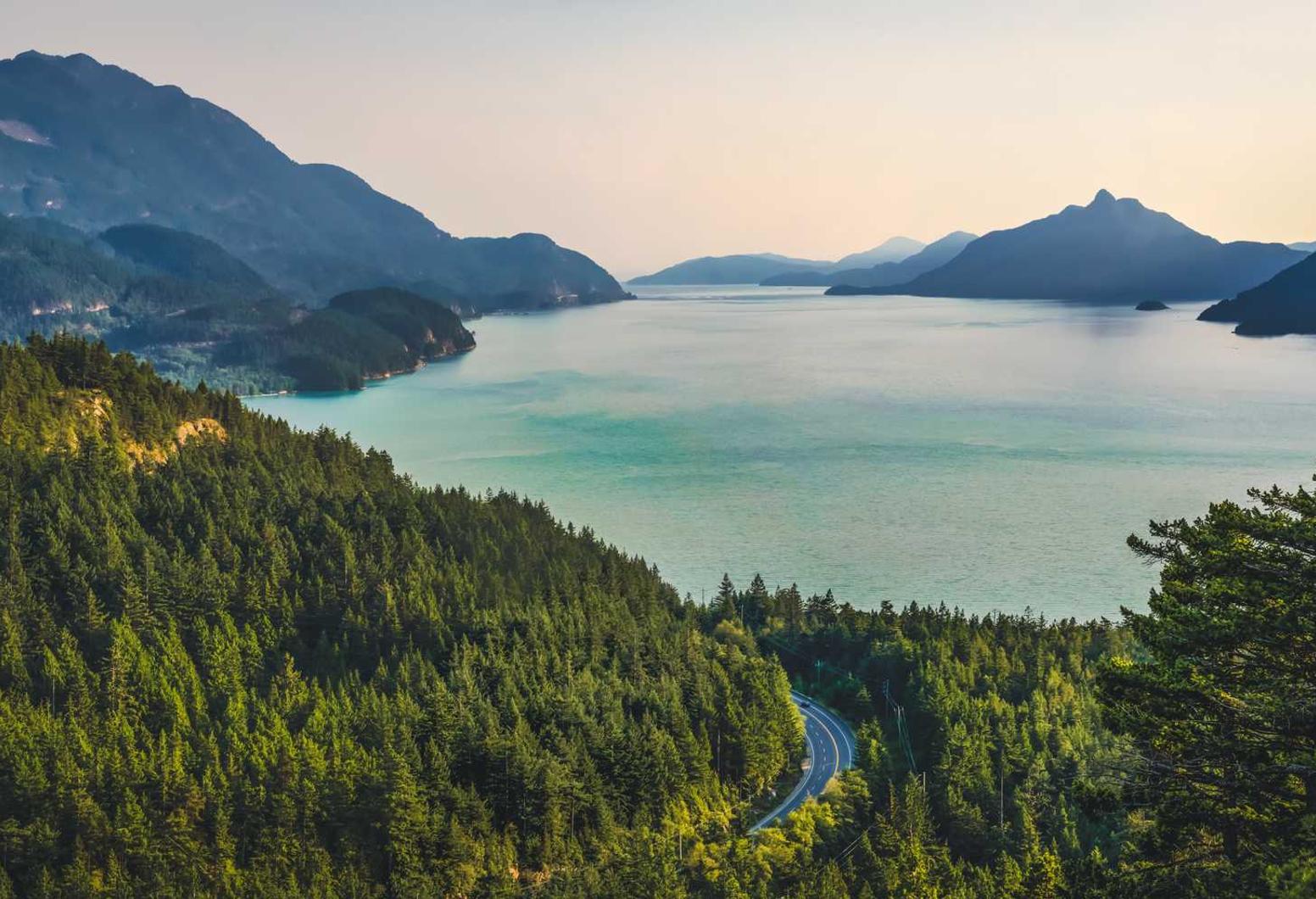 vx账号买卖：白酒正品购买平台