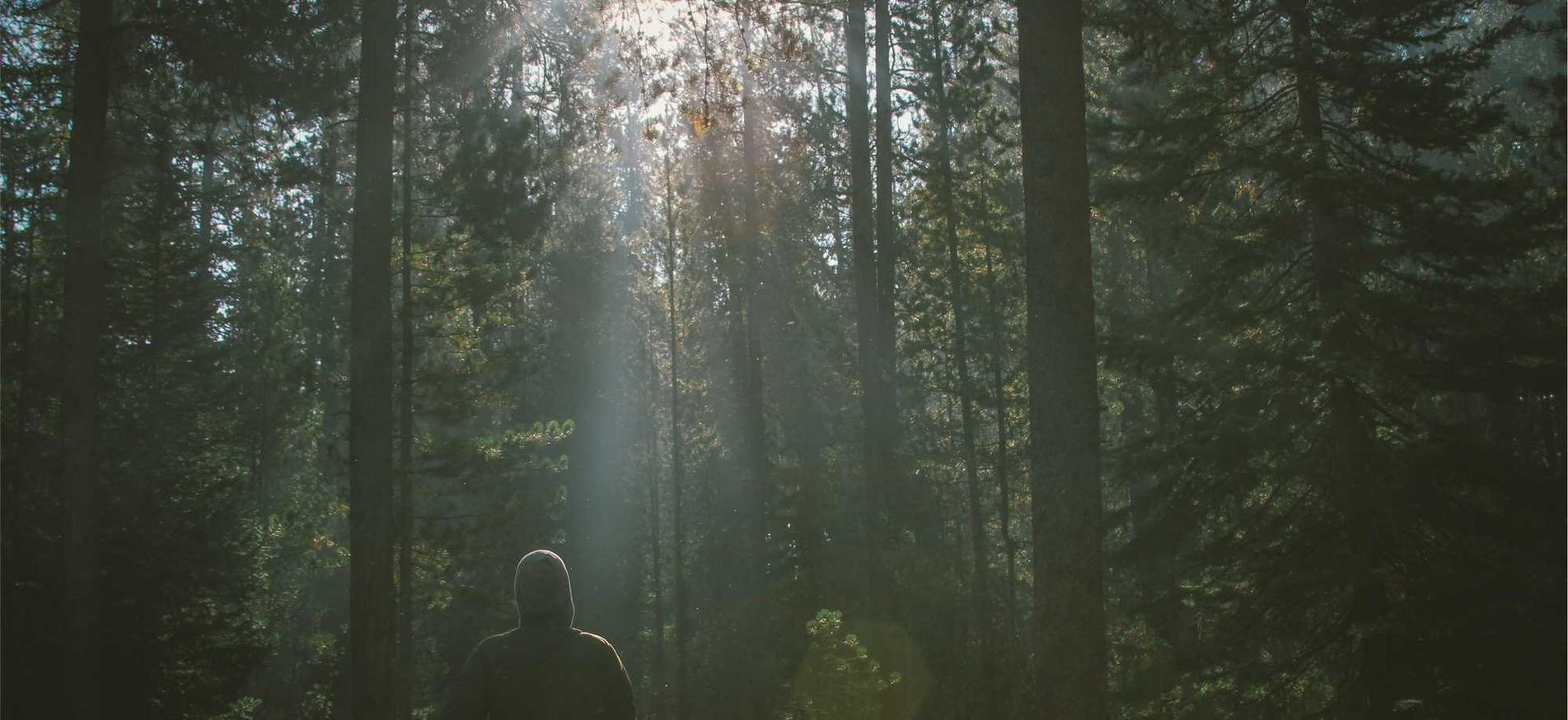 速盈游戏平台代理推广语