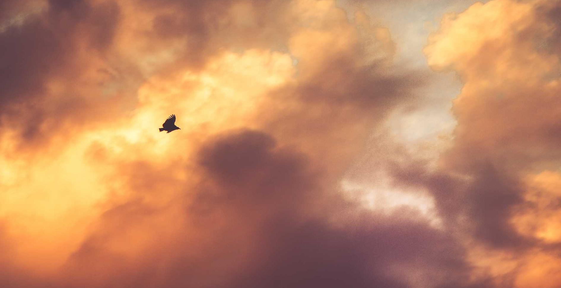 实名微信号批发：短信群发：该注意些什么？