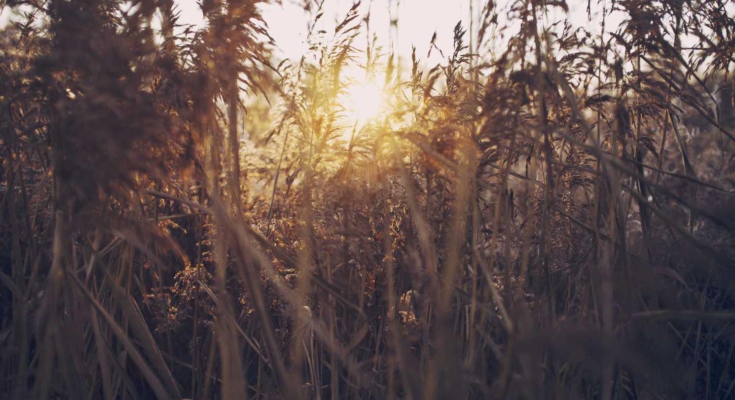 天顺如何制定个性化的品牌定位