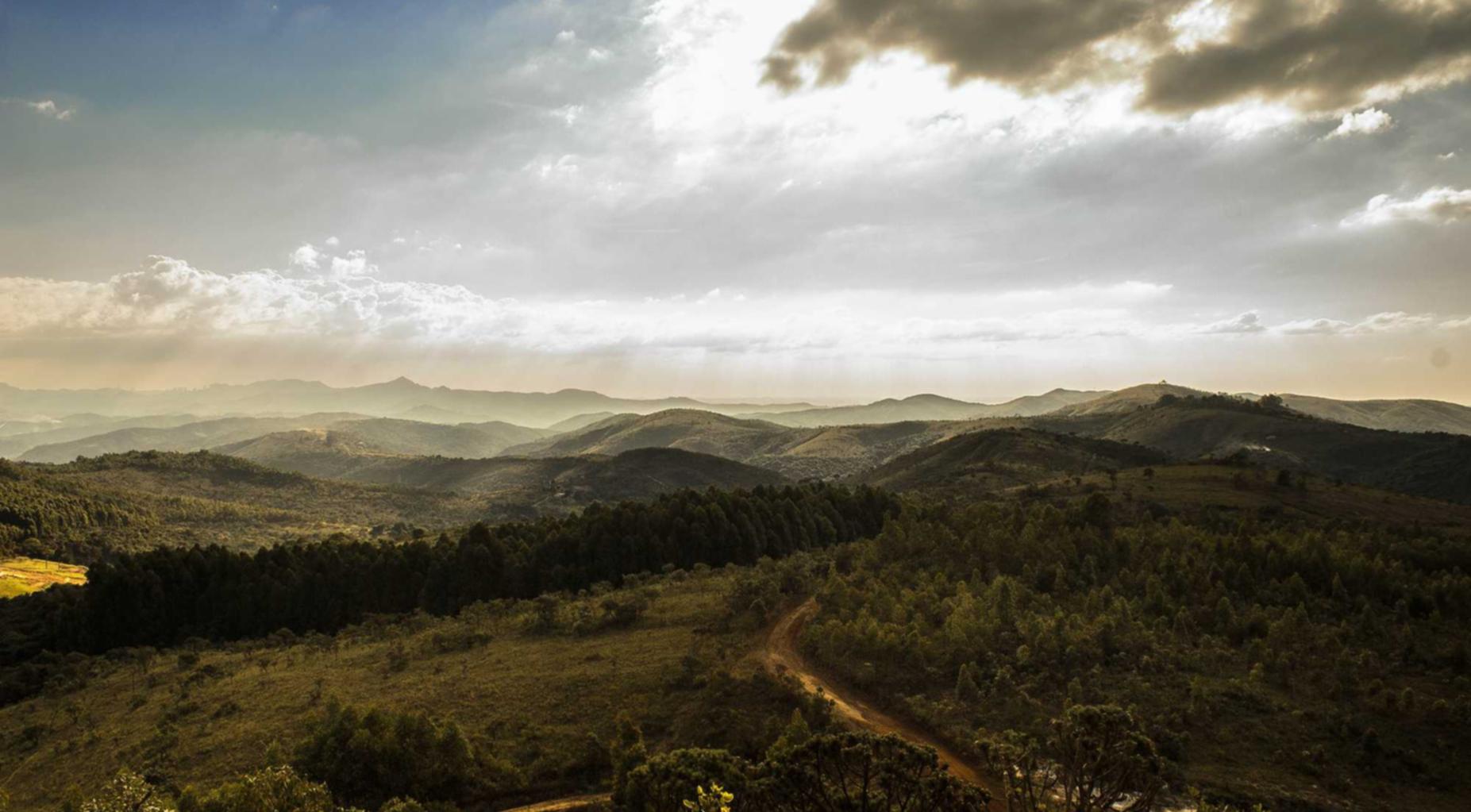 eSIM卡实名账号:不同平台购买苹果