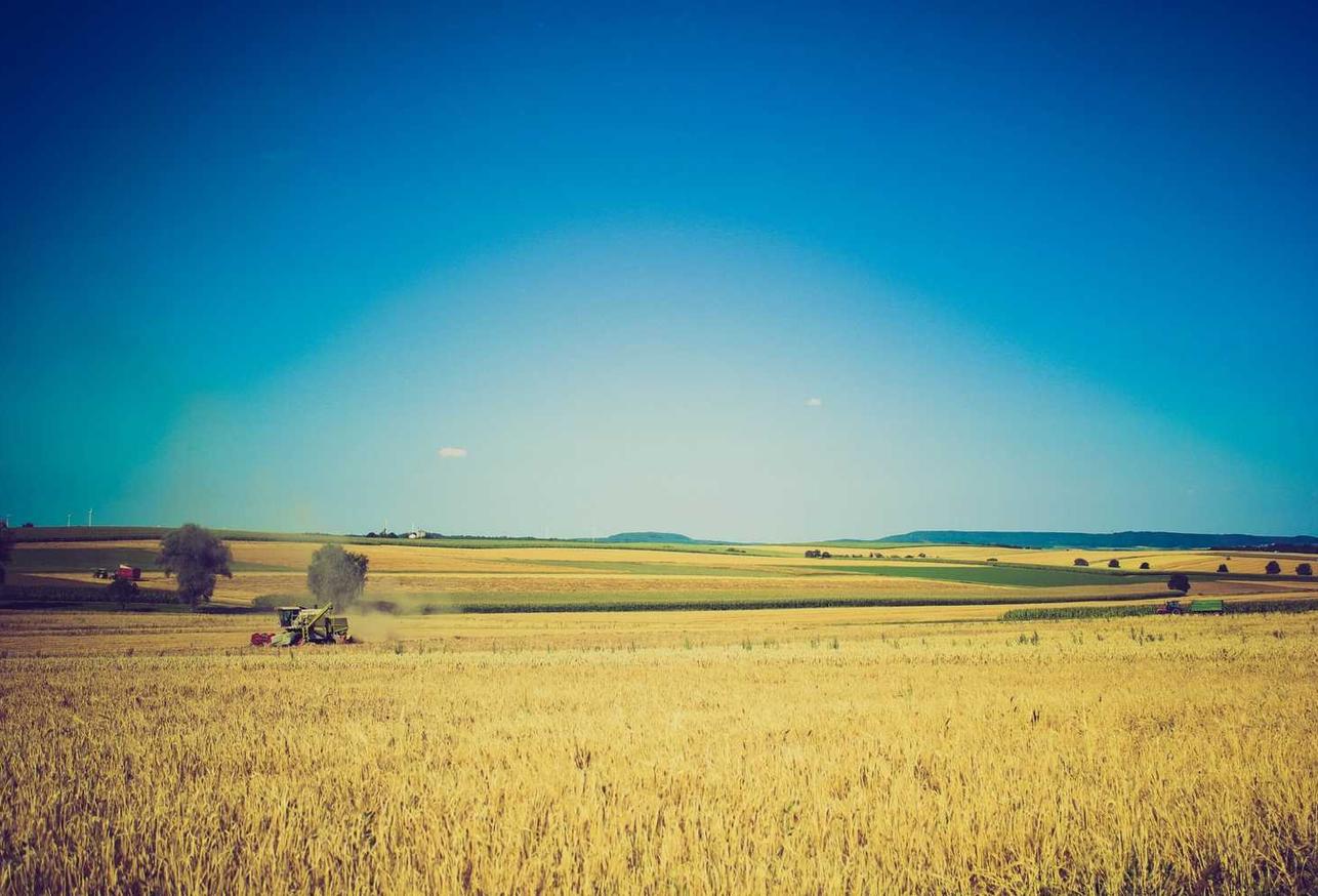 51彩黄金现货开户哪个平台好