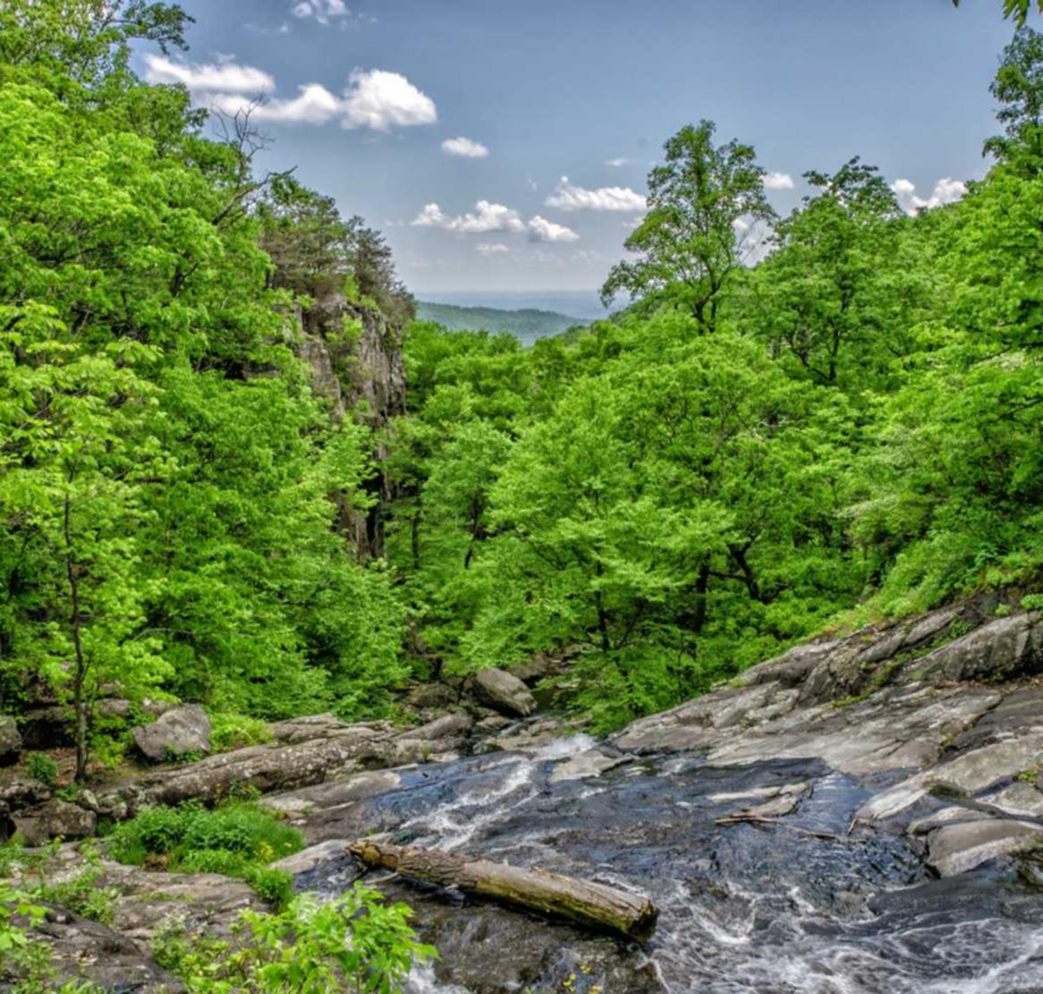 哪个平台可以购买建筑用砖