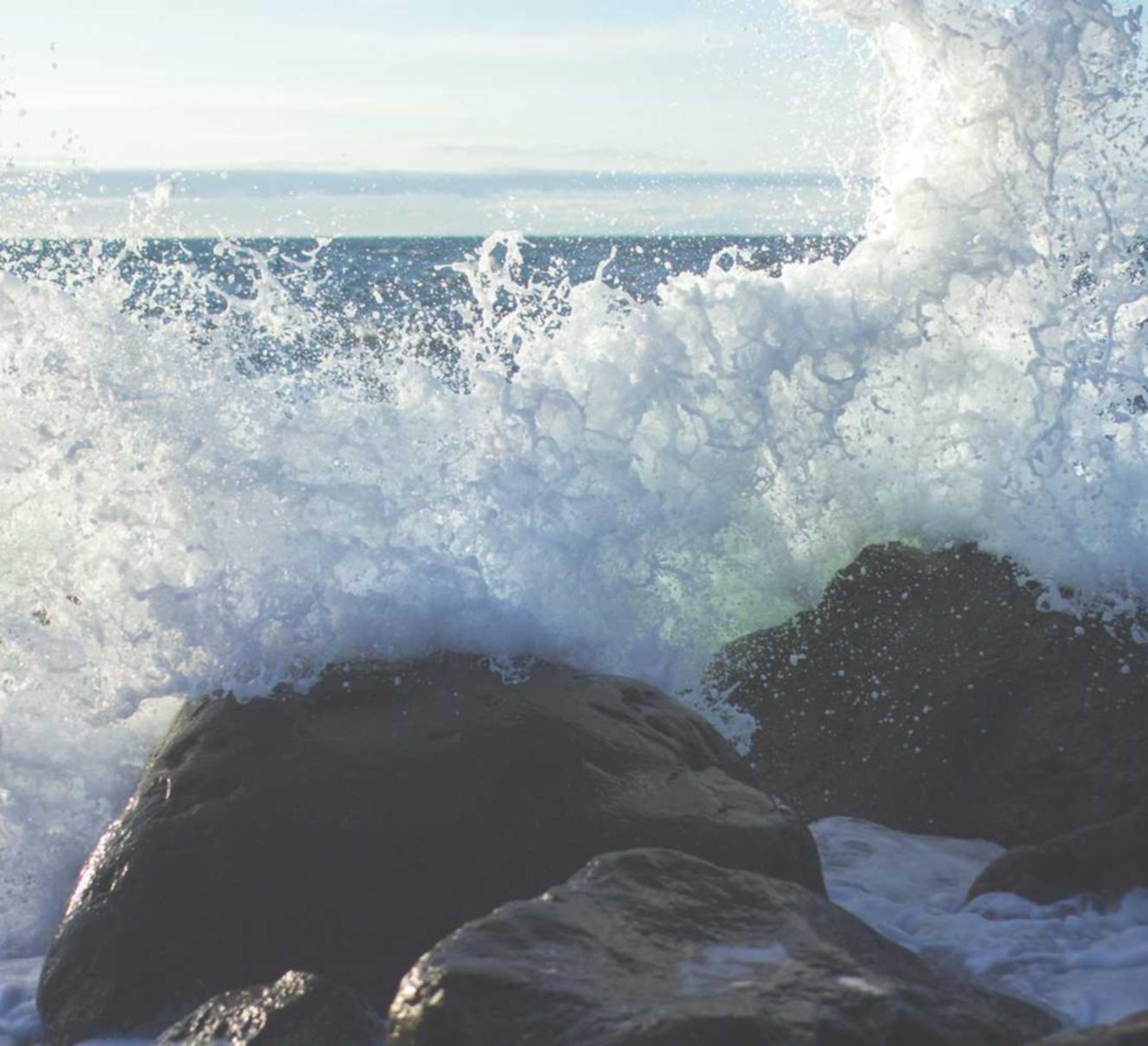 小米移动实名账号:上海公司社保开户平台