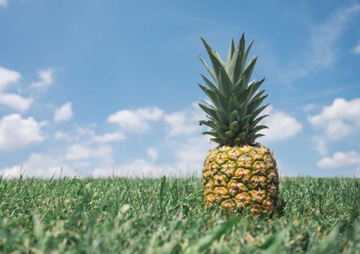 吸烟对运动能力和体力的影响分析