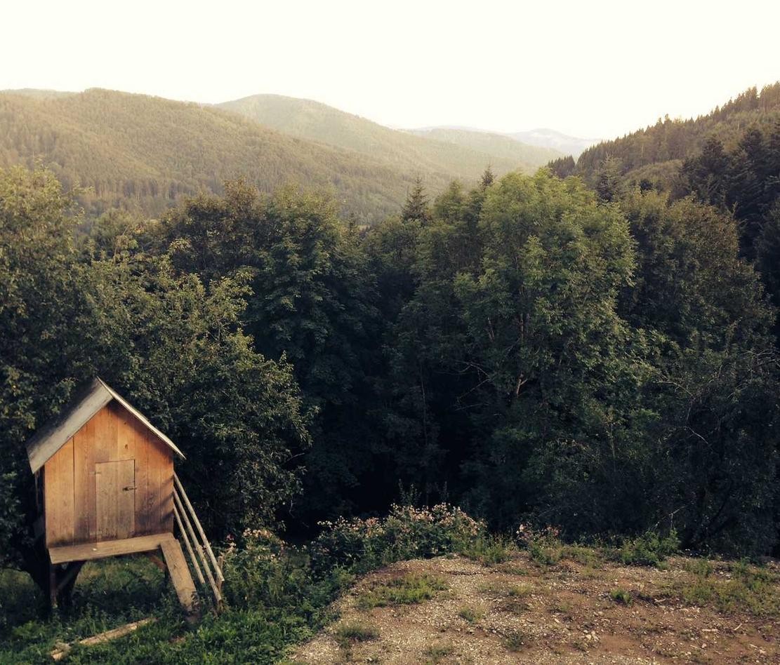 开户送金的期货平台