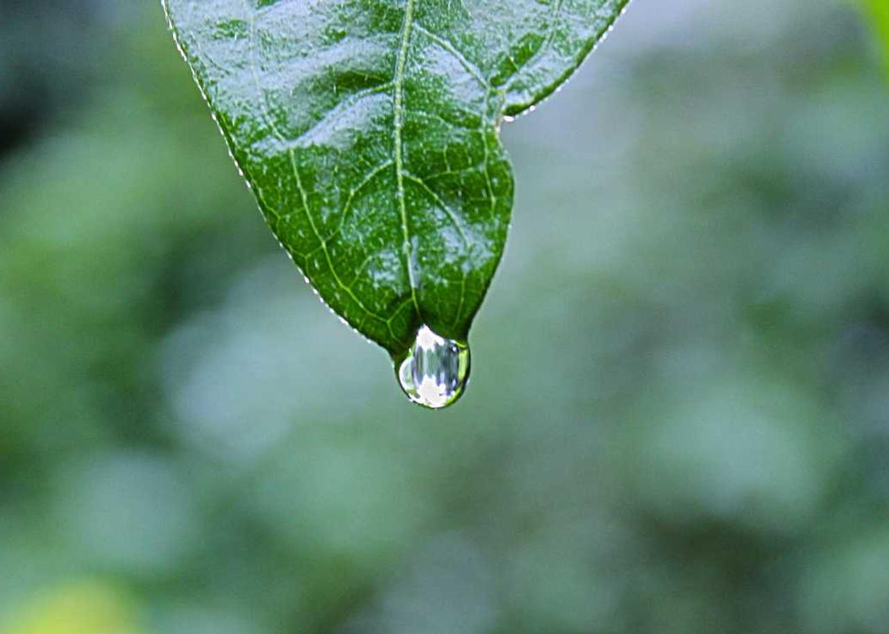 副卡实名账号：微信支付平台开户