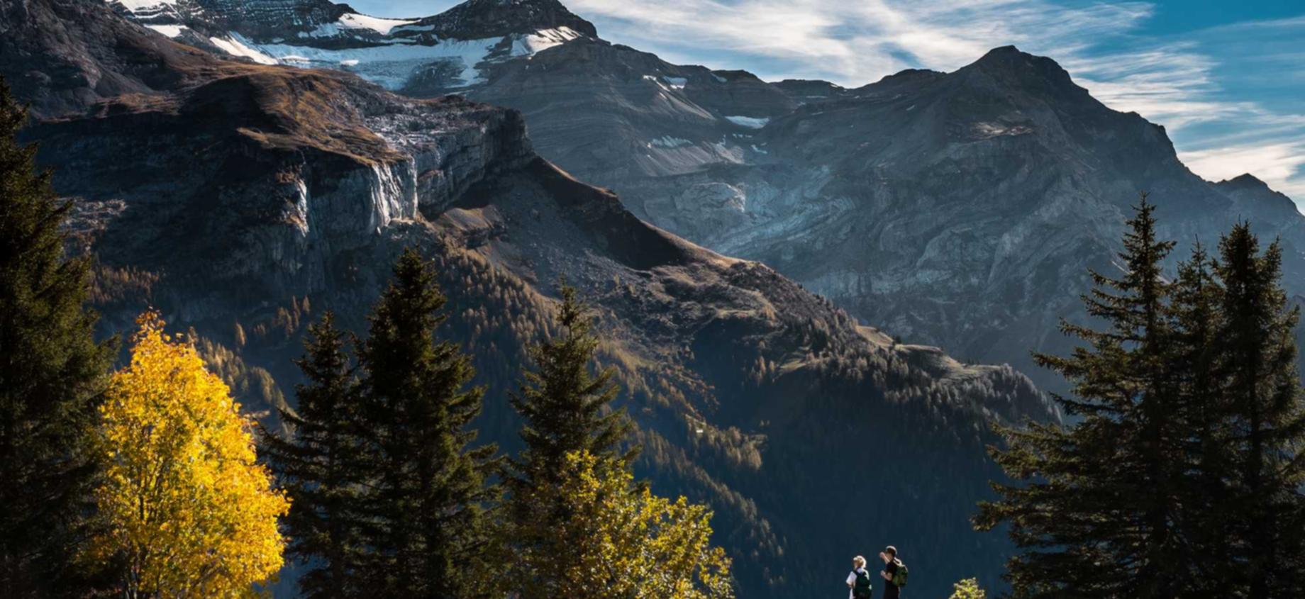 支付宝号买卖：实名制账号：加强网络环境的治理和管控