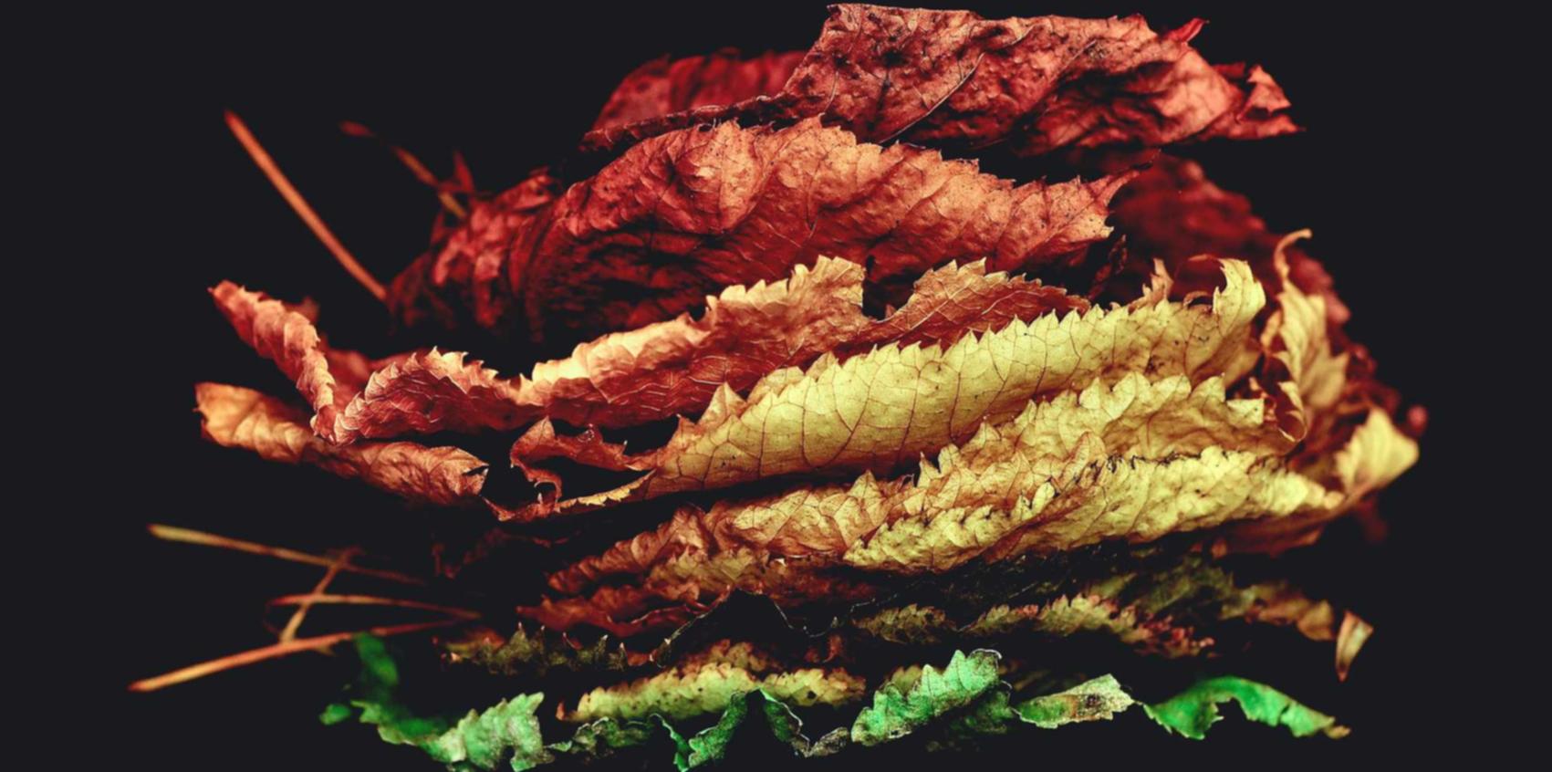 DDOS网页端平台|怎么注册美团装修公司账号