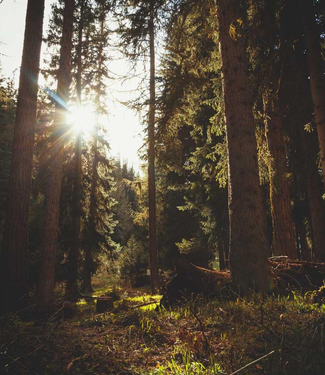 公众对香烟的态度在发生变化吗？