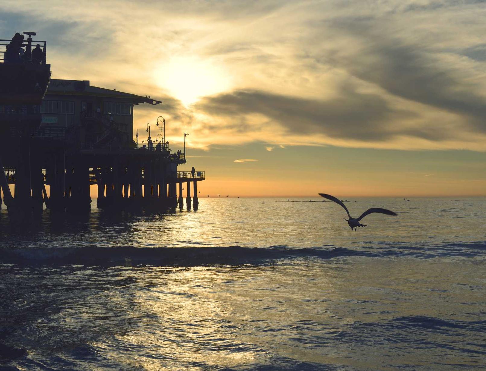 信无双平湖股指期货开户平台