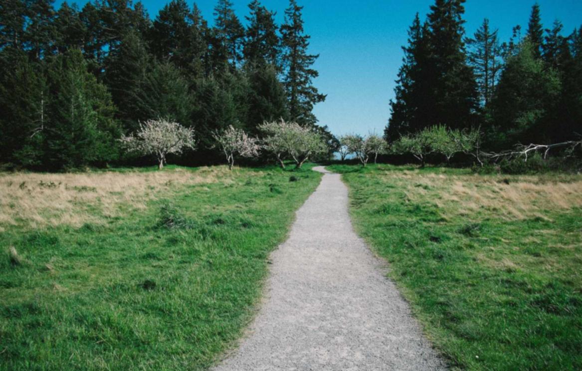 电话卡补办- 香港注册公司代理费用