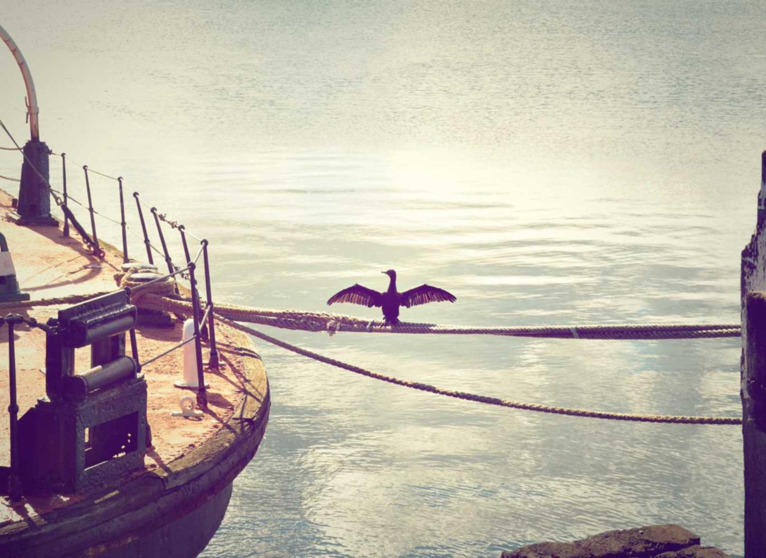 恩博公司注册代理衢州