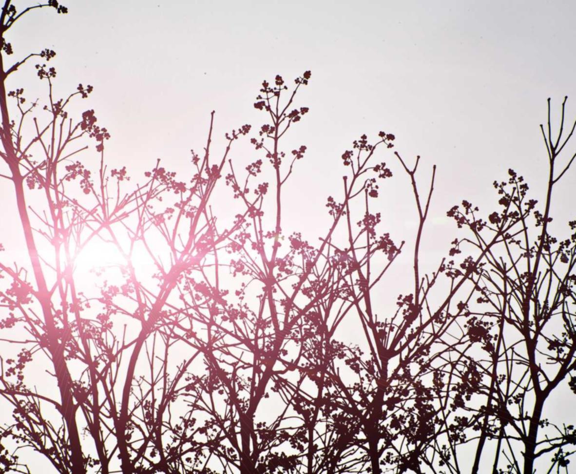 铁塔猫糖果双爆珠（细）：温州 代理 财务 注册