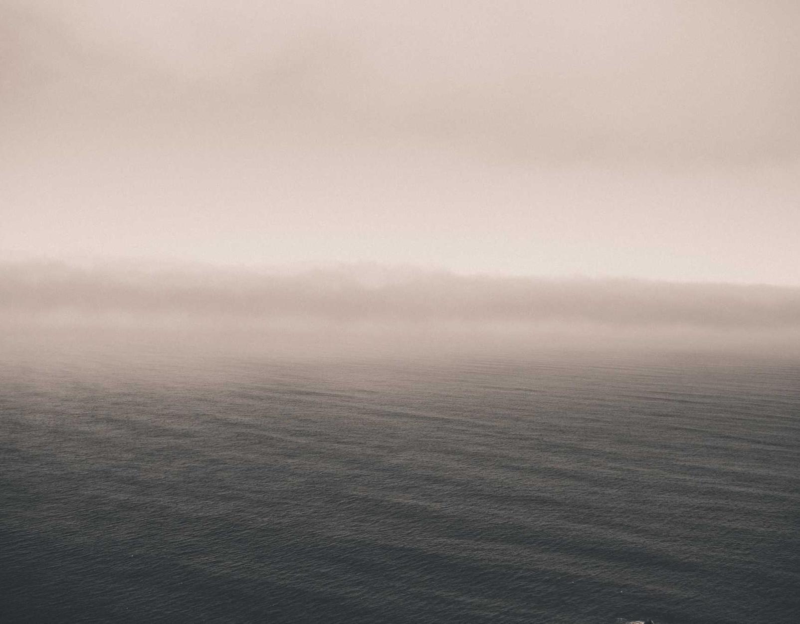 京东实名账号:综合工商注册代理价格