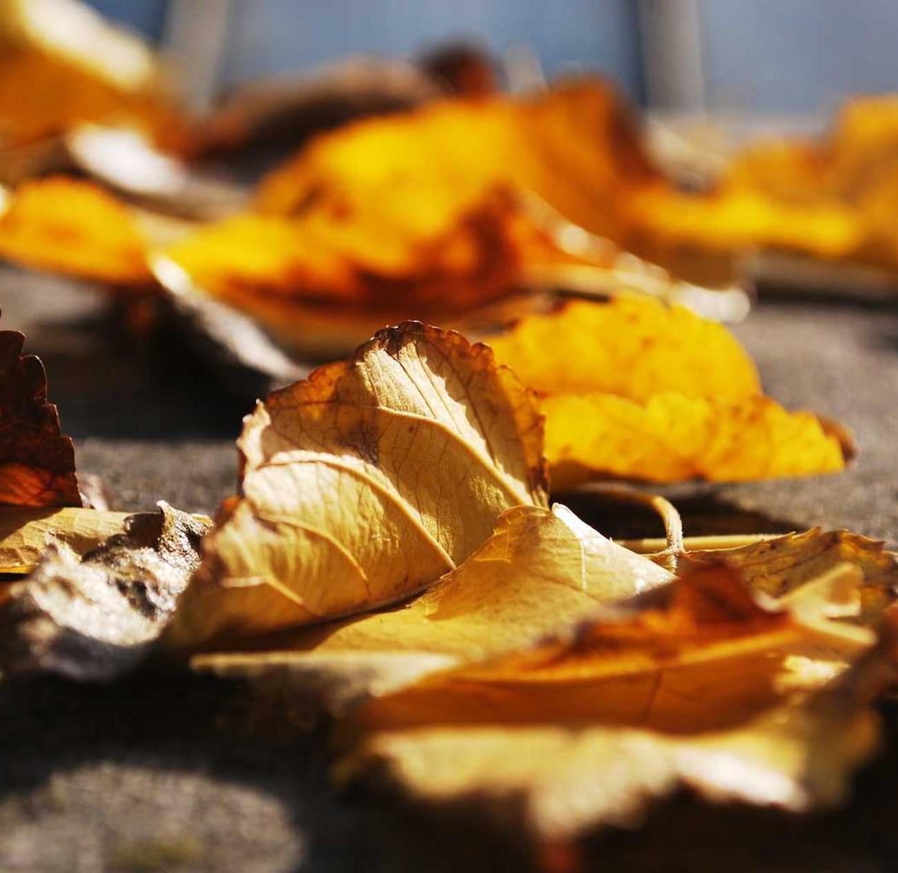 华为云国际站实名账号:海安企业注册代理费用标准