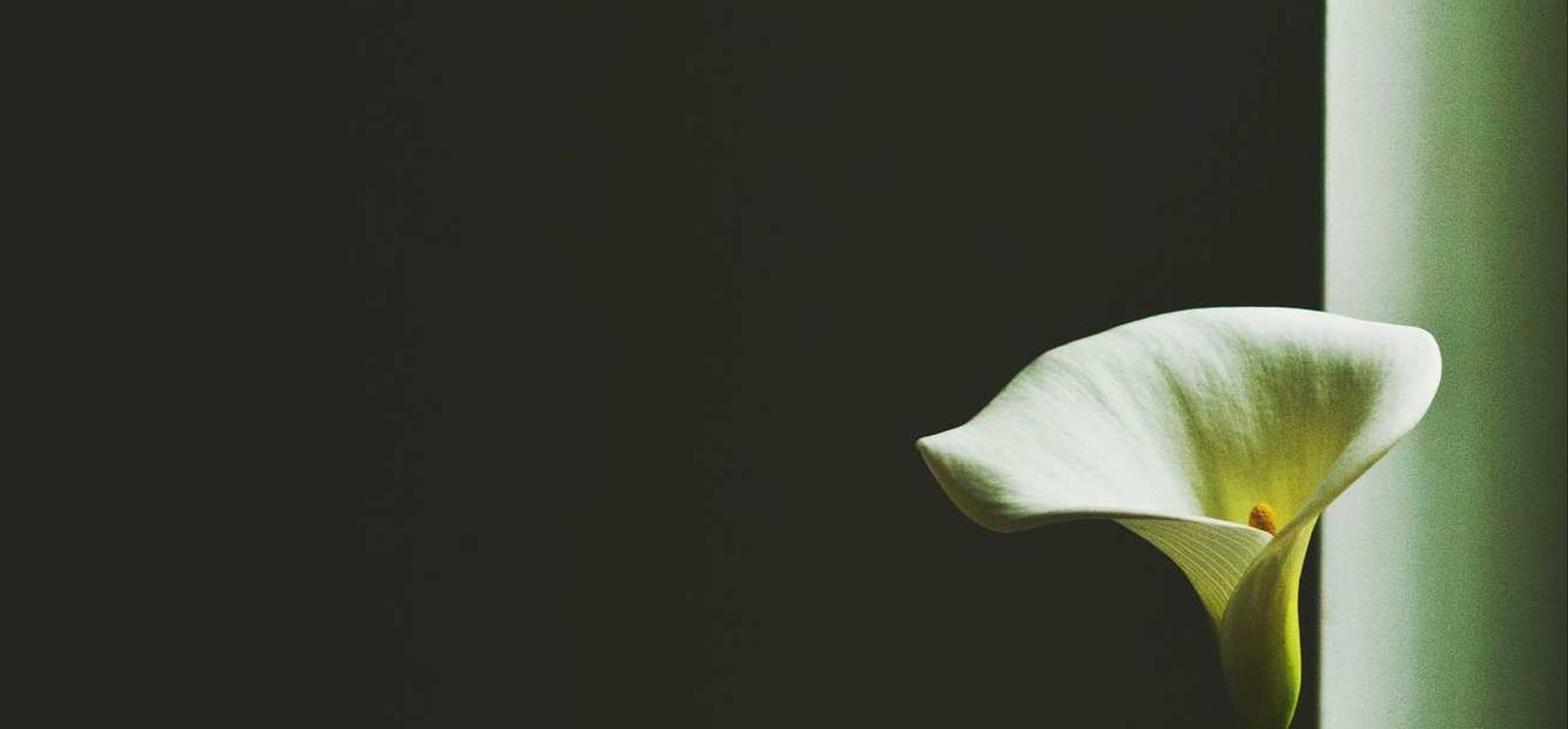 在非吸烟区内吸烟是合规运营的吗？