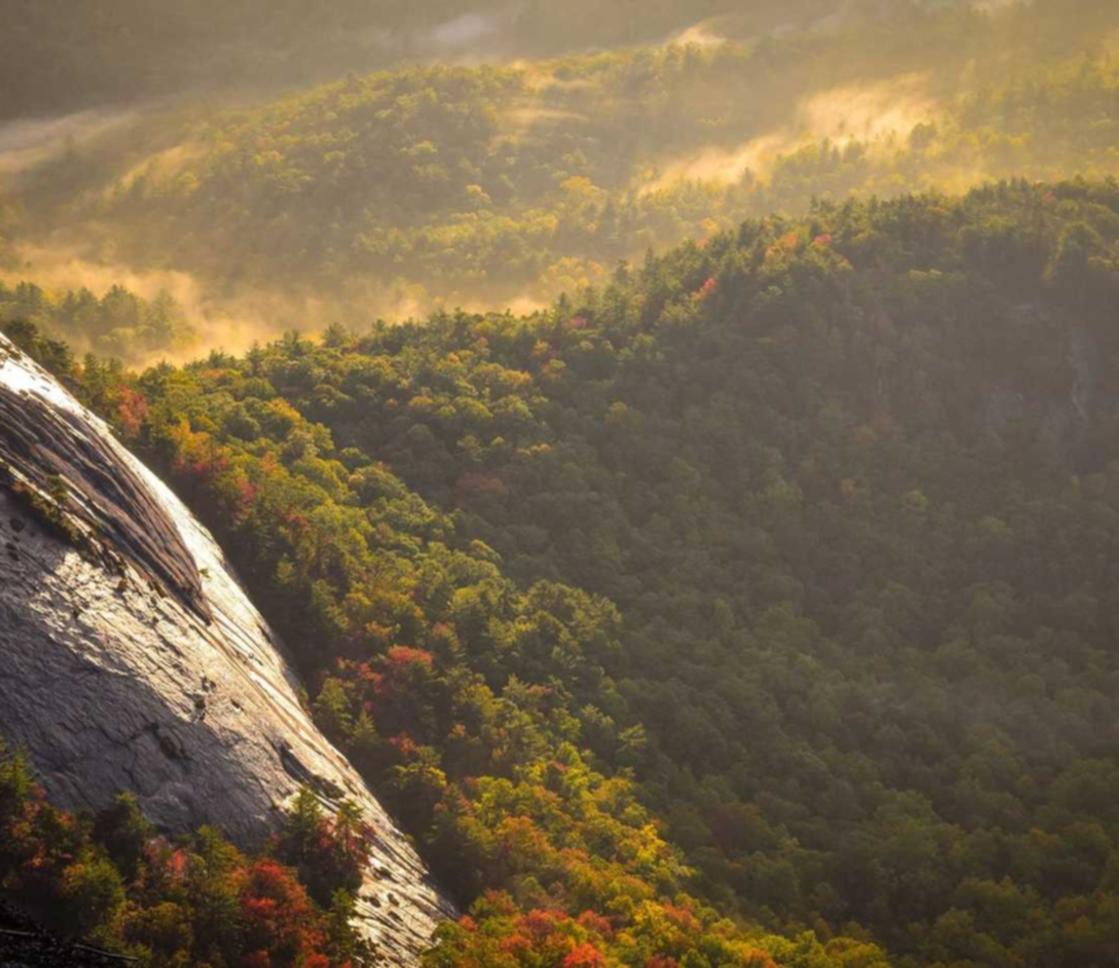 顺达广东农商银行app详情下载教程